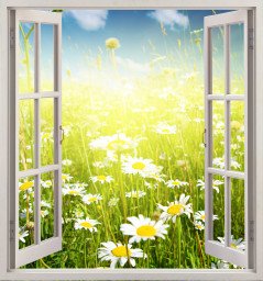 Распахнутое окно