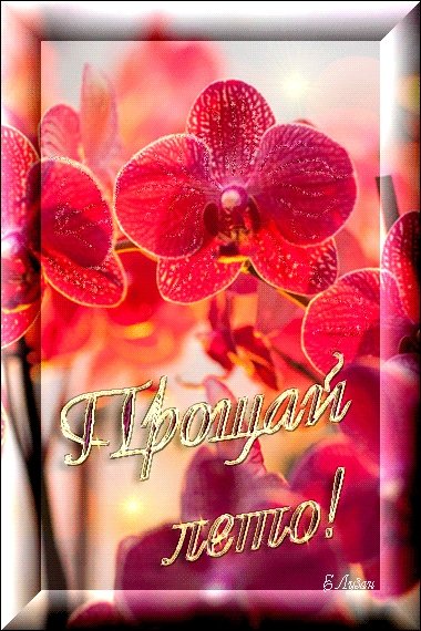 Анимация лето Прощай