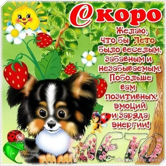 Отличного лета пожелания