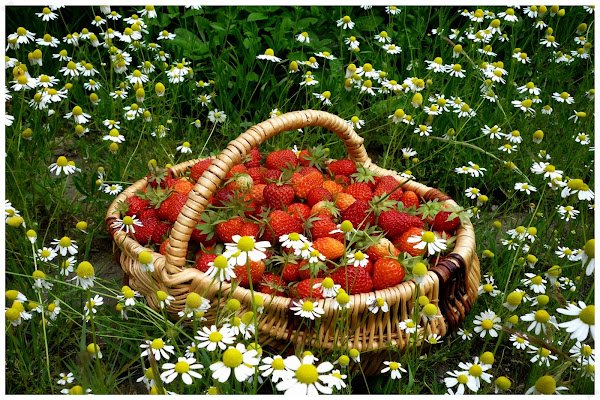 Июнь надпись