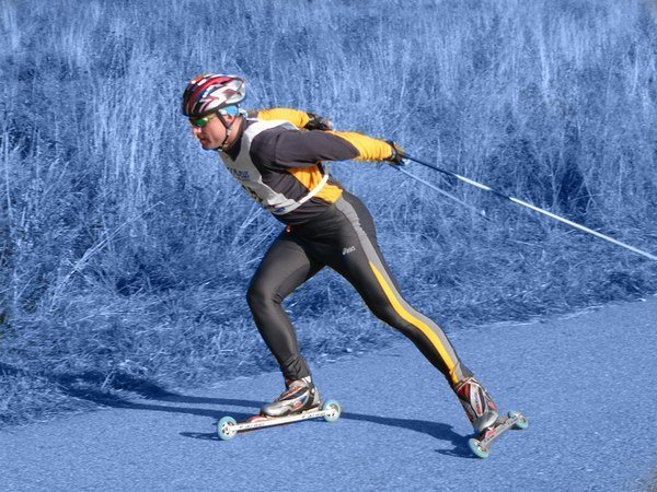 Парк Сосновый Бор Лыжня Новосибирск