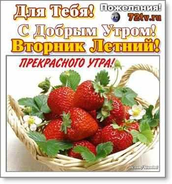 С добрым утром вторника