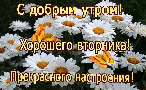 С добрым утром вторника стильные