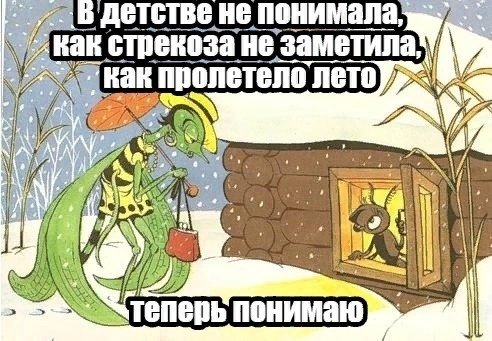 Что это пролетело Мем
