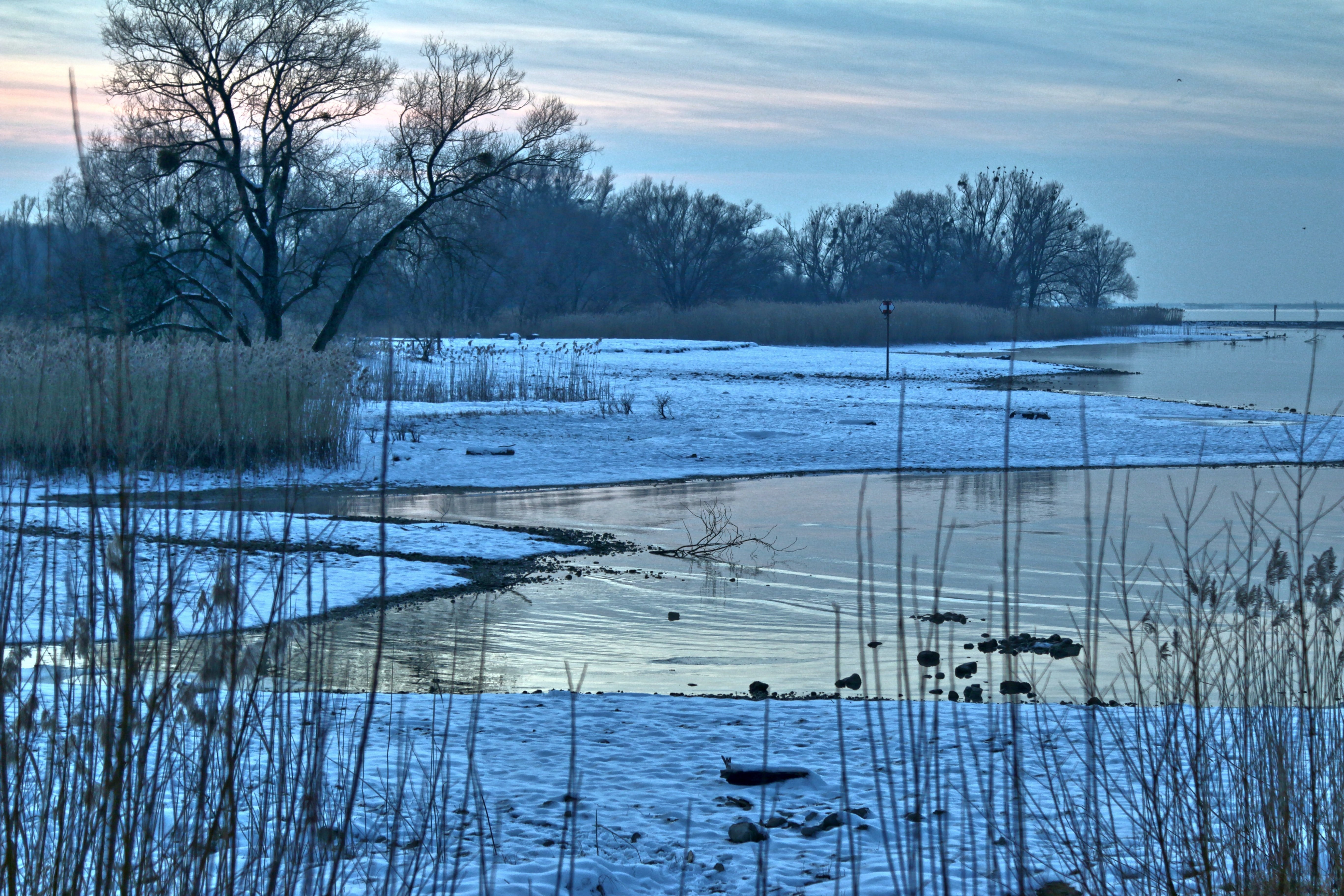 Тихи пруды холод и мрак вод их. Зимний пруд. Замерзший водоем. Пруд зимой. Зима река озеро.