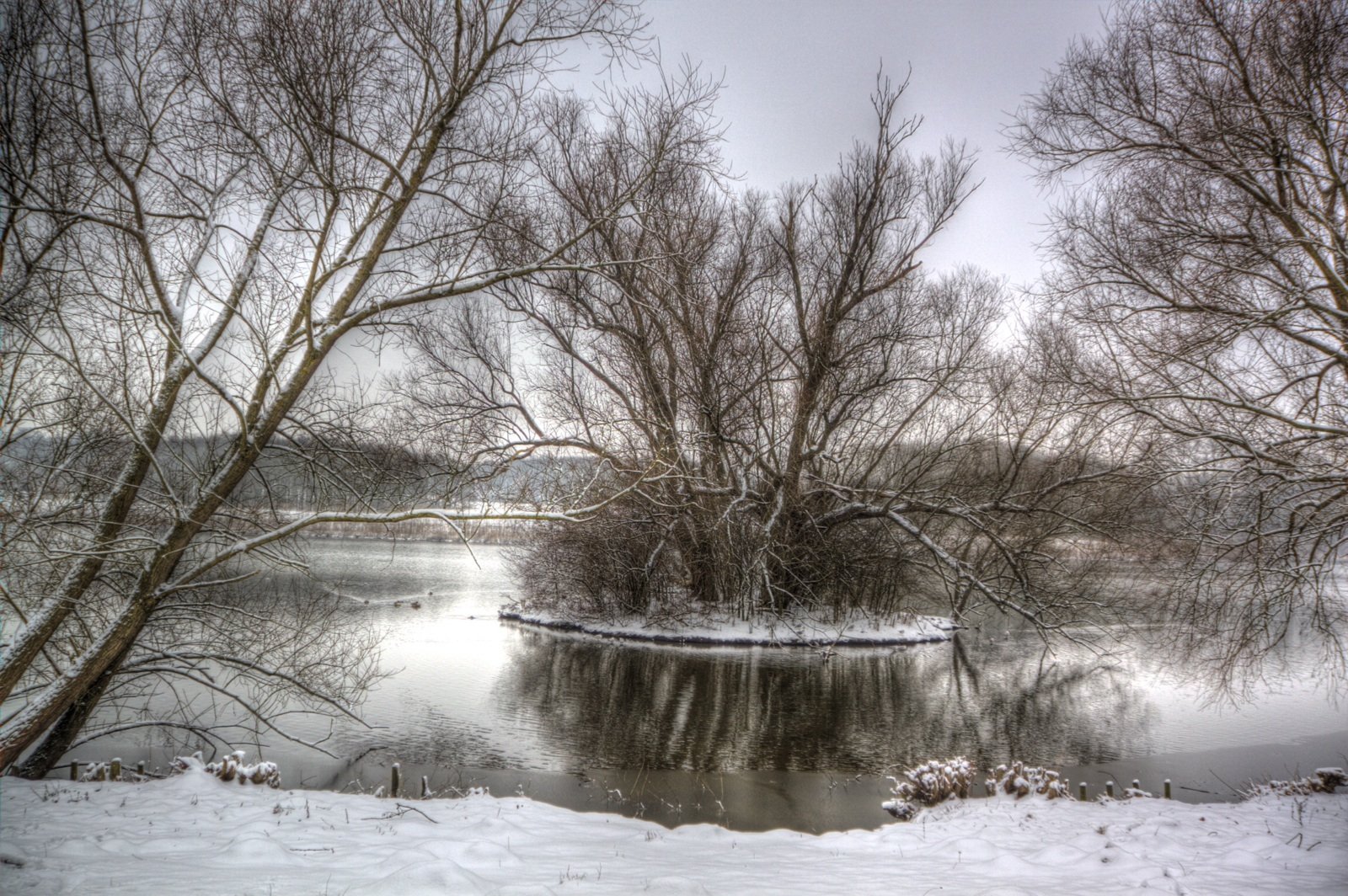 Тихи пруды холод и мрак вод их. Зимний пруд. Заснеженный пруд. Пруд зимой. Красивые пруды зимой.