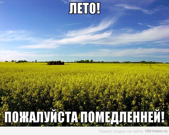Середина лета прикольные