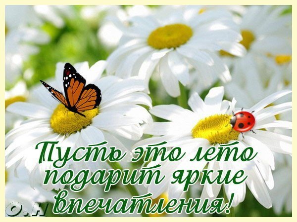 Пусть лето принесет тебе счастье