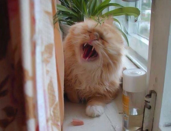 Не хочу на работу