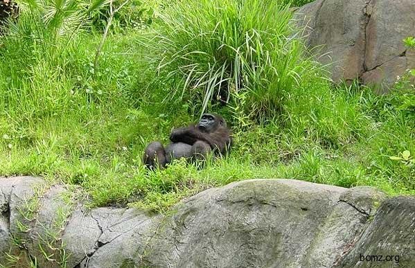 Море жди нас