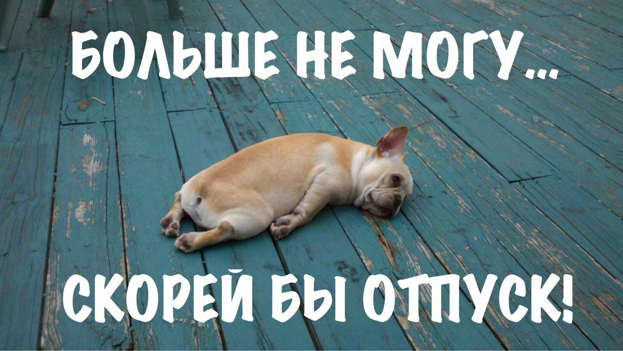 Хочу работать летом