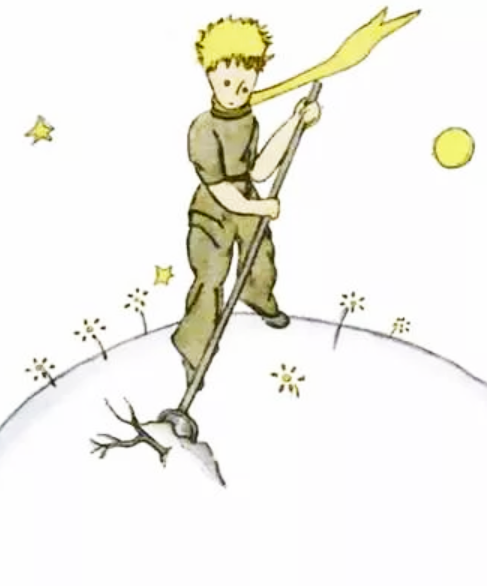 Маленький принц иллюстрации баобабы