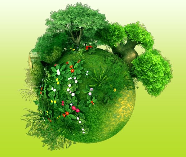 Зеленый наряд планеты