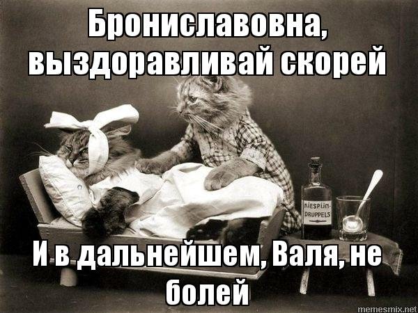 Не болей выздоравливай