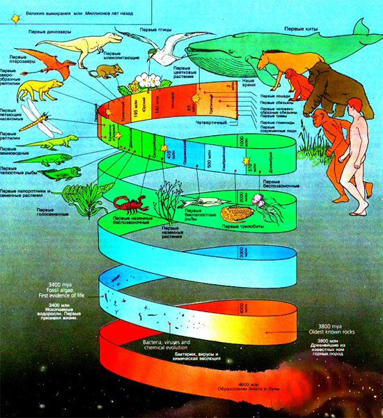 Геологический этап развития земли