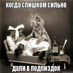 Выздоравливай поскорее котик