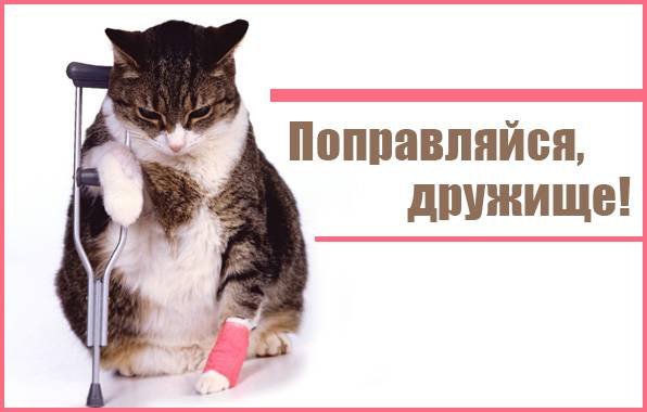 Выздоравливай скорее перелом