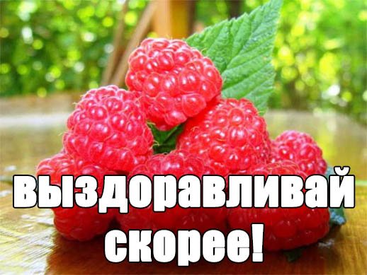 Выздоравливай поскорее