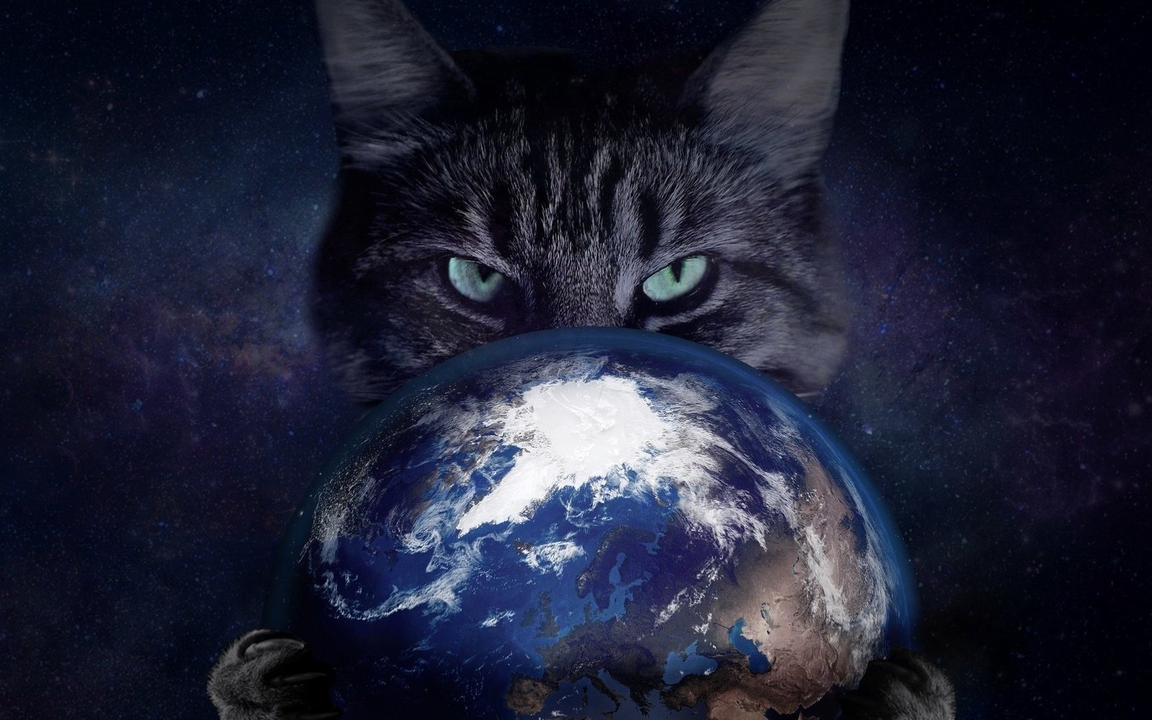 Кот в космосе скачать