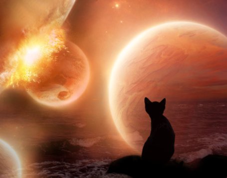 Планета кошек