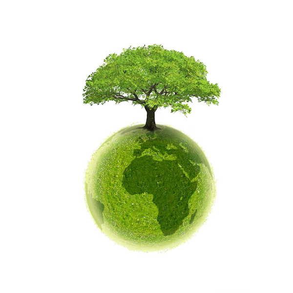 Дерево на земном шаре