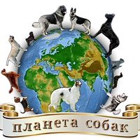 Планета собак рисунок