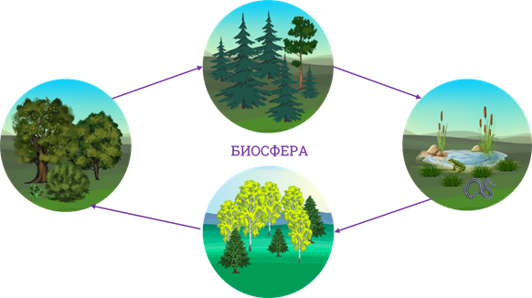 Экологические факторы биосферы