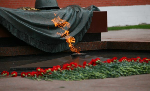 Гвоздики у вечного огня