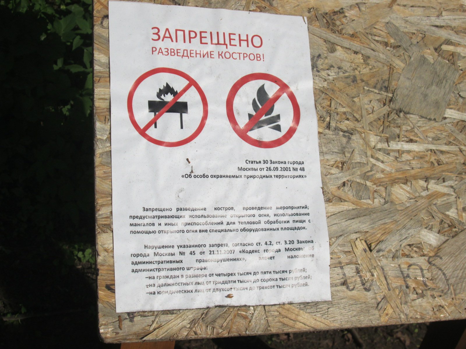 Разводить костер в лесу запрещено. Разведение костров запрещено. Запрещено разводить костры в лесу. Штраф за костер в лесу. Запрет разжигать костер.