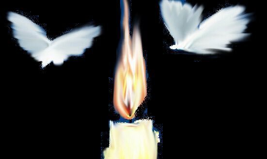 Мотылек над огнем