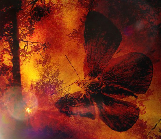 Горящий мотылек