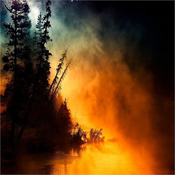 Огни в тумане