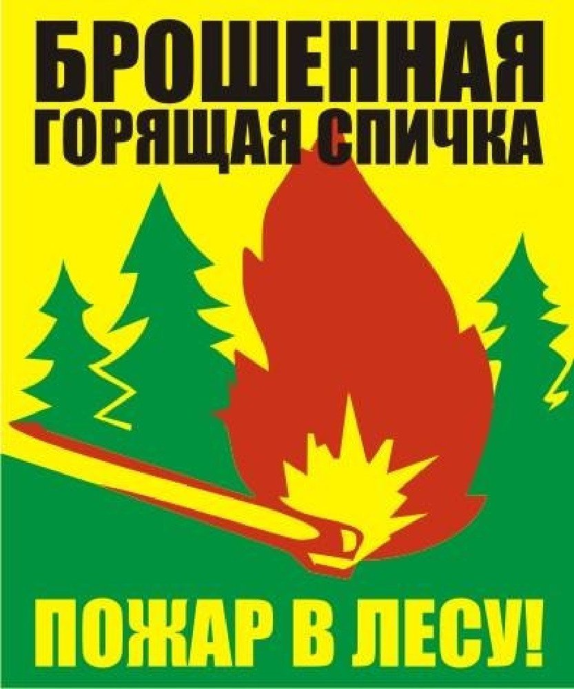 Горя кидала. Плакат берегите лес от пожара. Берегите Лис от пожара. Берегите лес от пожара картинки. Плакат пожарная безопасность в лесу.