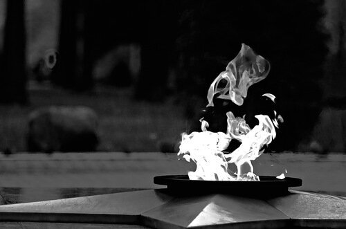 Вксный огонь чернобелый