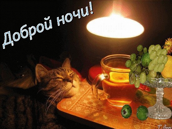 Спокойной уютной ночи