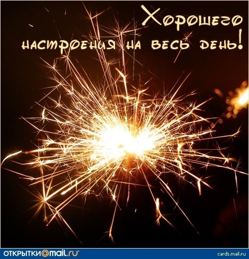 День бенгальских искр и гирляндных огней