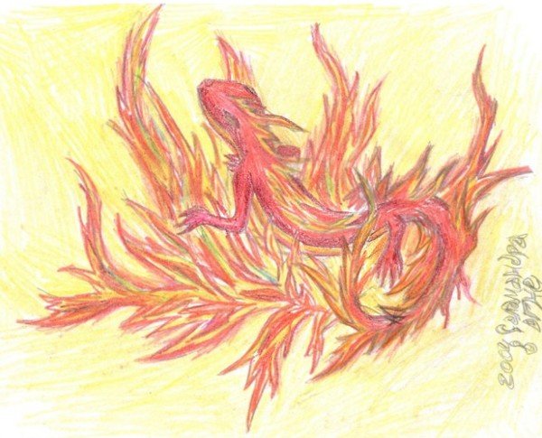 Огненная саламандра дух огня