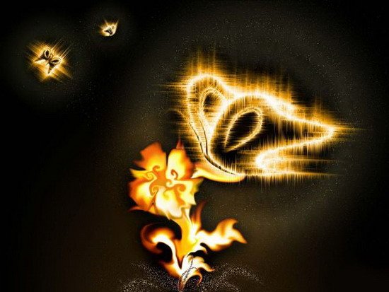 Мотылек и пламя