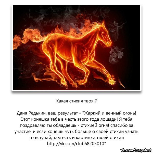 Года лошади по стихиям