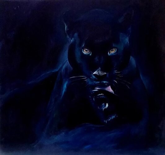 Черная пантера ночью