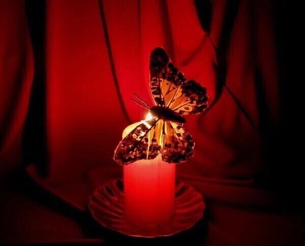 Мотылек летит на огонь