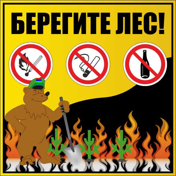 Берегите лес