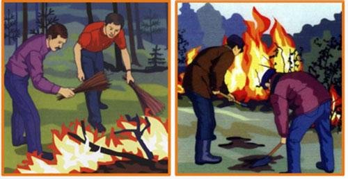 Пожарная безопасность в лесу костер