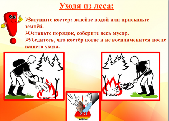 Тушите костер в лесу