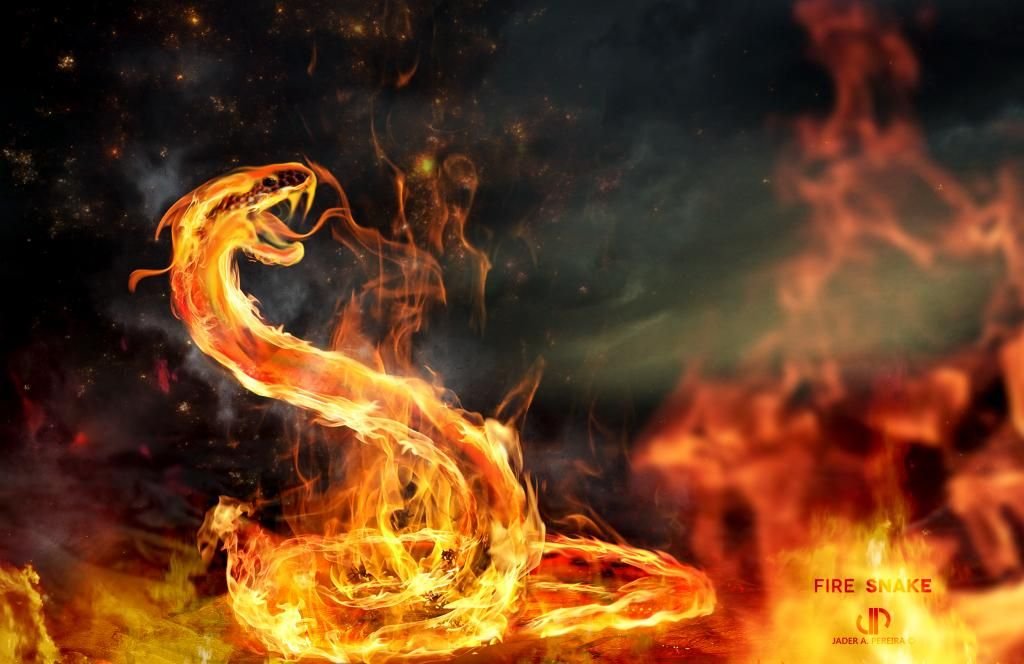 Змея в огне. Flame Salamander (Огненная саламандра). Огненная саламандра фэнтези. Саламандра Огненная мифология. Огненная змея.