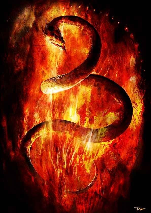 Змея в огне. Огненная змея. Красная Огненная змея. Огненная змея арт.
