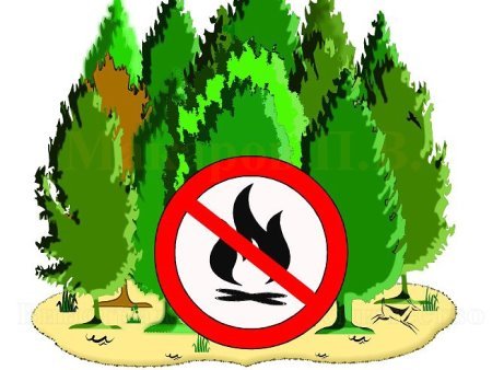 Знак запрещающий разжигать костер в лесу