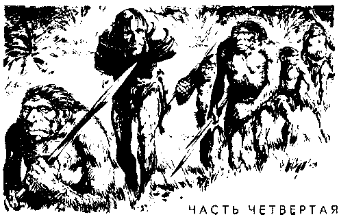 Рэй Дон Чонг битва за огонь
