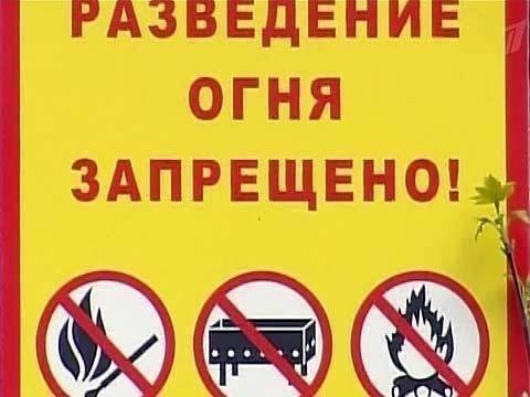 Разведение костров запрещено
