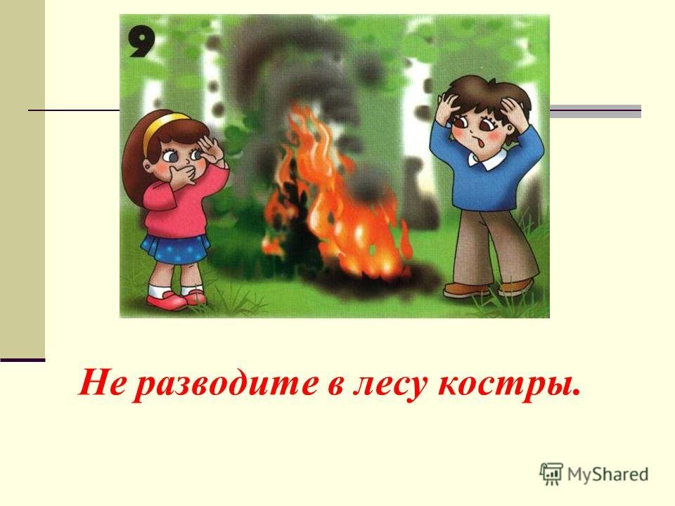 Разводить костер в лесу запрещено. Не разводи костер в лесу. Не разводить костер в лесу. Нельзя разжигать костер. Не разжигай костер в лесу.